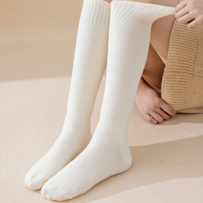 Cozy Luxe Fleece-Lined Home Socks - 2 Pairs